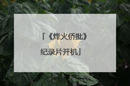 《烽火侨批》纪录片开机