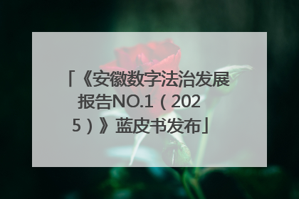 《安徽数字法治发展报告NO.1（2025）》蓝皮书发布