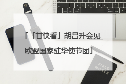 「甘快看」胡昌升会见欧盟国家驻华使节团