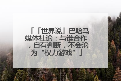 「世界说」巴哈马媒体社论：与谁合作，自有判断，不会沦为“权力游戏”