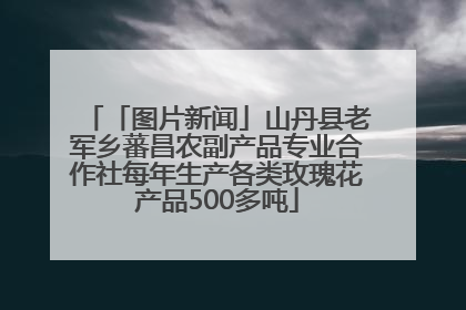 「图片新闻」山丹县老军乡蕃昌农副产品专业合作社每年生产各类玫瑰花产品500多吨