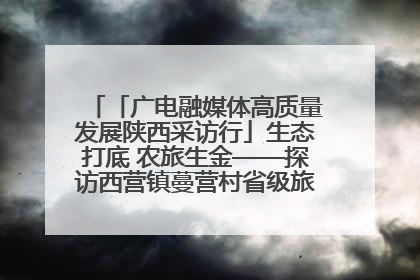 「广电融媒体高质量发展陕西采访行」生态打底 农旅生金——探访西营镇蔓营村省级旅游示范村的振兴密码