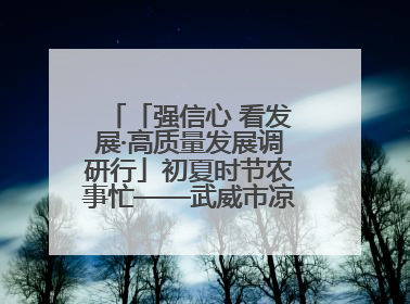 「强信心 看发展·高质量发展调研行」初夏时节农事忙——武威市凉州区推进高标准农田建设见闻