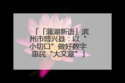 「蒲湖新语」滨州市博兴县：以“小切口”做好数字惠民“大文章”