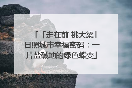 「走在前 挑大梁」日照城市幸福密码：一片盐碱地的绿色蝶变