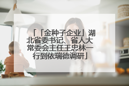 「金种子企业」湖北省委书记、省人大常委会主任王忠林一行到依瑞德调研