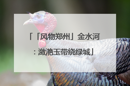 「风物郑州」金水河：潋滟玉带绕绿城