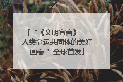 “《文明宣言》——人类命运共同体的美好画卷I”全球首发