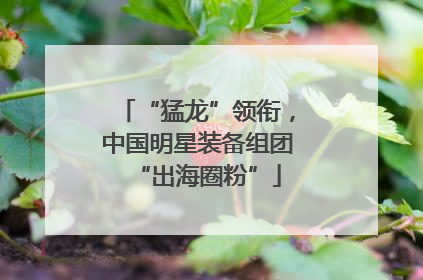 “猛龙”领衔，中国明星装备组团“出海圈粉”