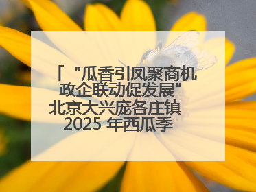 “瓜香引凤聚商机 政企联动促发展”北京大兴庞各庄镇 2025 年西瓜季政企联动产业推介活动圆满举行
