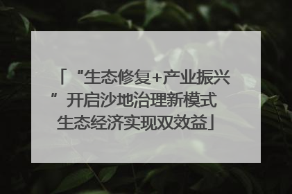 “生态修复+产业振兴”开启沙地治理新模式 生态经济实现双效益