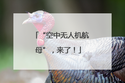 “空中无人机航母”，来了！