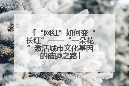 “网红”如何变“长红”——“一朵花”激活城市文化基因的破题之路