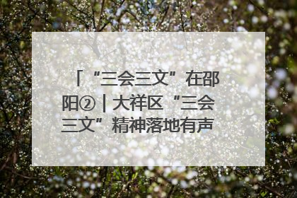 “三会三文”在邵阳②｜大祥区“三会三文”精神落地有声 以实干实绩助力区域高质量发展