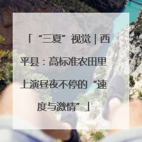 “三夏”视觉｜西平县：高标准农田里上演昼夜不停的“速度与激情”