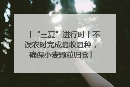 “三夏”进行时丨不误农时完成夏收夏种，确保小麦颗粒归仓
