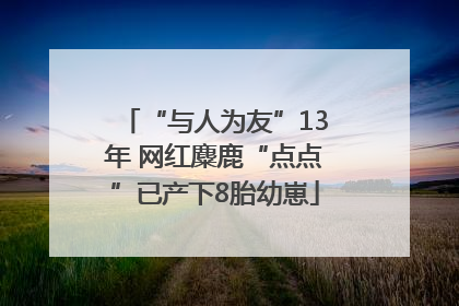 “与人为友”13年 网红麋鹿“点点”已产下8胎幼崽