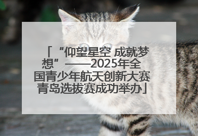 “仰望星空 成就梦想”——2025年全国青少年航天创新大赛青岛选拔赛成功举办