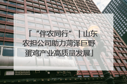 “伴农同行”｜山东农担公司助力菏泽巨野蛋鸡产业高质量发展