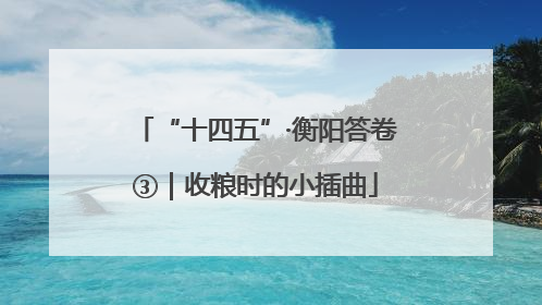 “十四五”·衡阳答卷③｜收粮时的小插曲