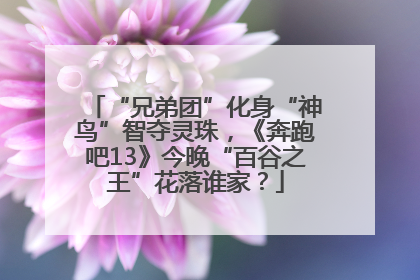 “兄弟团”化身“神鸟”智夺灵珠，《奔跑吧13》今晚“百谷之王”花落谁家？