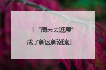 “周末去逛展”成了新区新潮流