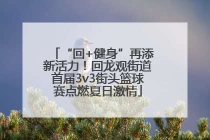 “回+健身”再添新活力！回龙观街道首届3v3街头篮球赛点燃夏日激情