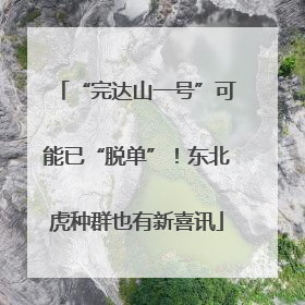 “完达山一号”可能已“脱单”！东北虎种群也有新喜讯
