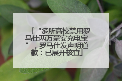 “多所高校禁用罗马仕两万毫安充电宝”，罗马仕发声明道歉：已展开核查