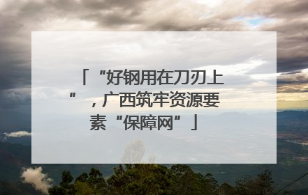 “好钢用在刀刃上”，广西筑牢资源要素“保障网”