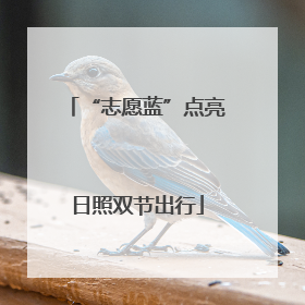 “志愿蓝”点亮日照双节出行