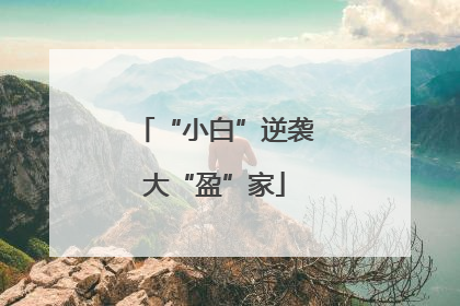 “小白”逆袭大“盈”家