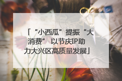 “小西瓜”提振“大消费” 以节庆IP助力大兴区高质量发展