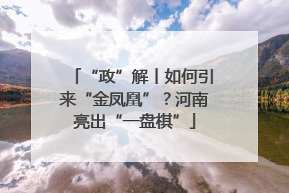 “政”解丨如何引来“金凤凰”？河南亮出“一盘棋”
