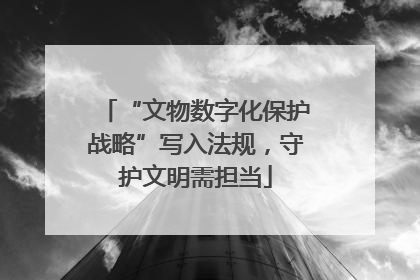 “文物数字化保护战略”写入法规,守护文明需担当
