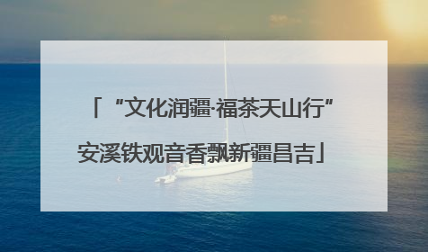 “文化润疆·福茶天山行”安溪铁观音香飘新疆昌吉