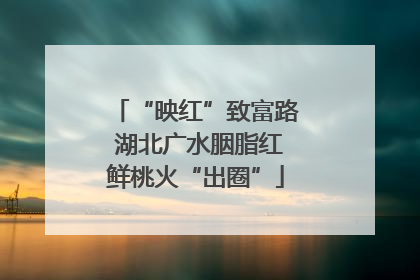 “映红”致富路 湖北广水胭脂红鲜桃火“出圈”