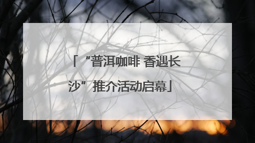 “普洱咖啡 香遇长沙”推介活动启幕
