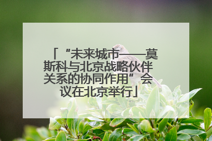“未来城市——莫斯科与北京战略伙伴关系的协同作用”会议在北京举行