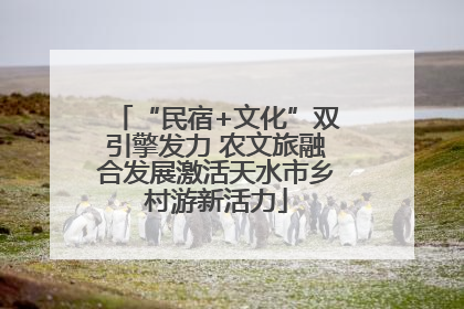 “民宿+文化”双引擎发力 农文旅融合发展激活天水市乡村游新活力