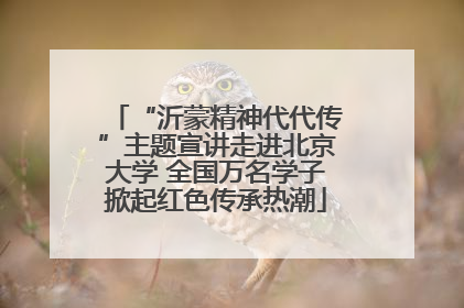 “沂蒙精神代代传”主题宣讲走进北京大学 全国万名学子掀起红色传承热潮