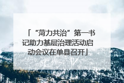 “菏力共治”第一书记助力基层治理活动启动会议在单县召开