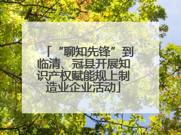 “聊知先锋”到临清、冠县开展知识产权赋能规上制造业企业活动