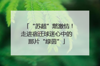 “苏超”燃激情！走进宿迁球迷心中的那片“绿茵”