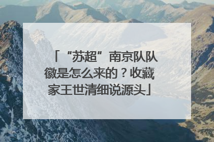 “苏超”南京队队徽是怎么来的？收藏家王世清细说源头