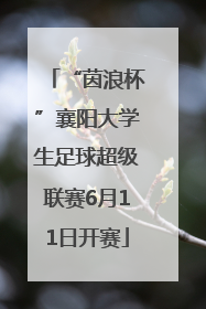 “茵浪杯”襄阳大学生足球超级联赛6月11日开赛