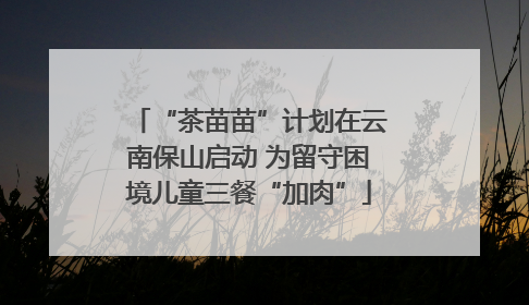“茶苗苗”计划在云南保山启动 为留守困境儿童三餐“加肉”