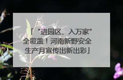 “进园区、入万家”全覆盖！河南新野安全生产月宣传出新出彩