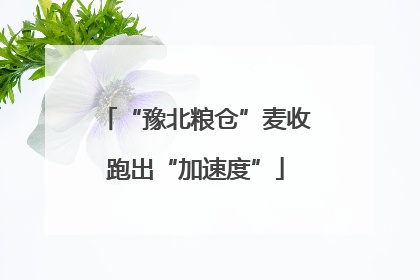 “豫北粮仓”麦收跑出“加速度”