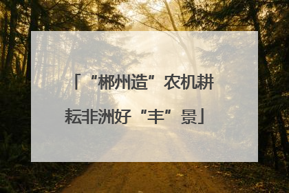 “郴州造”农机耕耘非洲好“丰”景